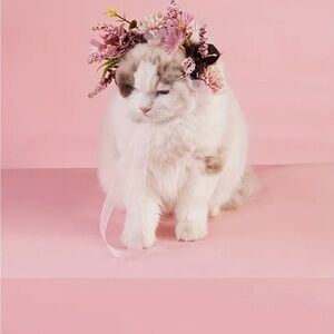 Small Pet Pink Floral Headband or Collar Photo Prop for Dog or Cat